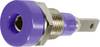 Stäubli LB-I2R Jack socket Socket, vertical vertical Pin diameter: 2 mm Violet 1 pc(s)