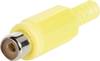 TRU COMPONENTS 1578795 RCA connector Socket, straight Number of pins: 2 Yellow 1 pc(s)