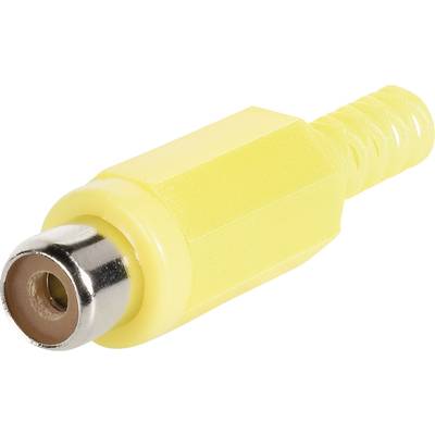 TRU COMPONENTS 1578859 RCA connector Socket, straight Number of pins (num): 2  Red 1 pc(s) 