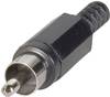 TRU COMPONENTS TC-2518009 RCA connector Plug, straight Number of pins: 2 Yellow 100 pc(s)