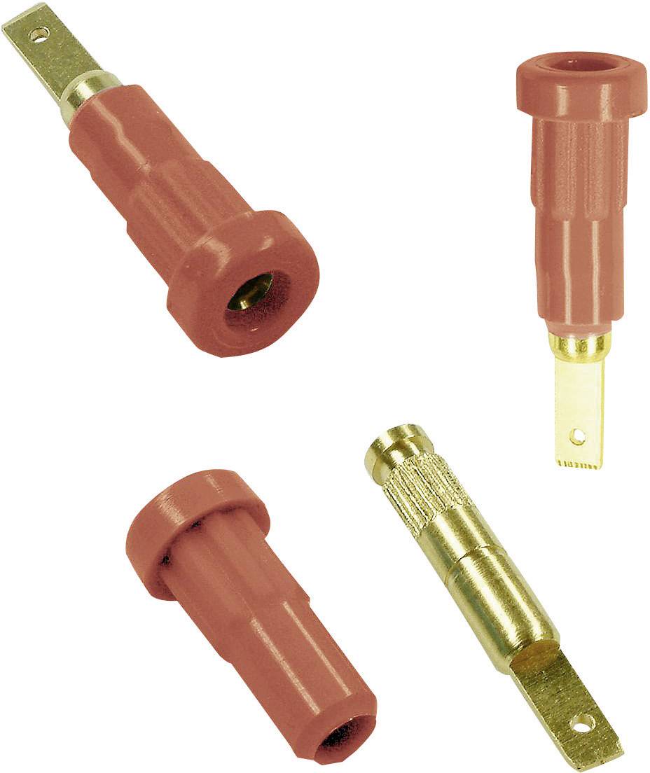 Staeubli EB2 Jack socket Socket, vertical vertical Pin diameter: 2 mm Red 1 pc(s)