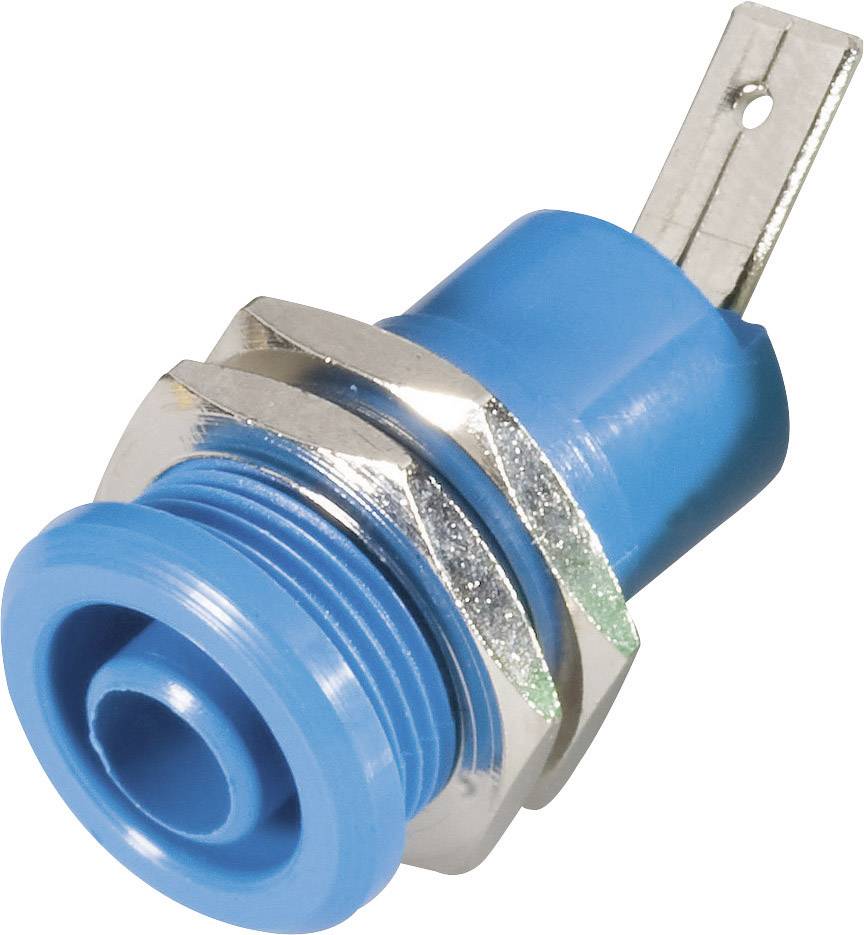 Blue and silver electronic plug with threaded screw and flat connection tab, suitable for cable connections.