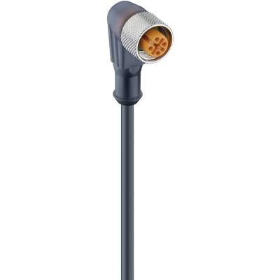 Black wired plug with round connector, orange insert and four pins.