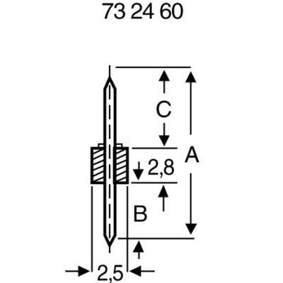 Technical drawing of a bolt with dimensions: 2.5 mm width; 2.8 mm thick groove. Heights C, A, B are indicated, but not legible.