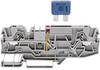 WAGO 2006-1681/1000-429-1 Fuse terminal 7.50 mm Pull spring Configuration: L Grey 1 pc(s)