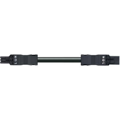 WAGO  Mains cable Mains socket - Mains plug Total number of pins: 3 Black  1 pc(s) 