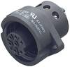 binder 09-4220-00-07 DIN connector Sleeve socket Total number of pins: 6 + PE Series (round connectors): 693 20 pc(s)