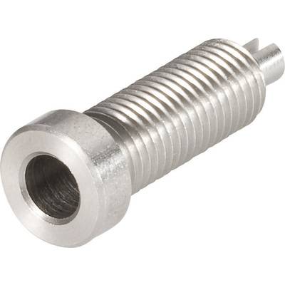Stainless steel screw with fine thread and cylindrical head.