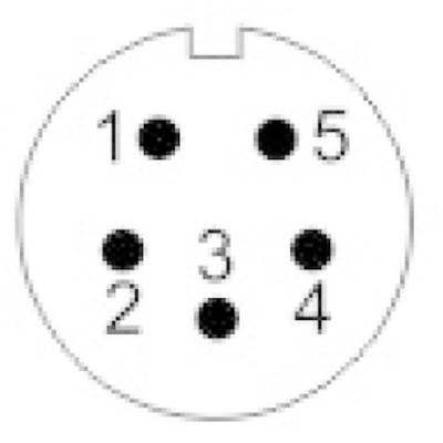 'Mini-DIN Connector Pinout: 5-pin, numbering clockwise from 1 to 5. Connector contacts arranged in a circle.'