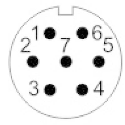 'Diagram of a 7-pin plug, numbered from 1 to 7, showing the connection layout.'