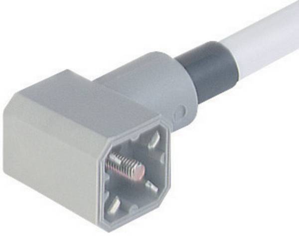 Hirschmann 931 783-001-1 G 30 KW M Cable Connector With Moulded Lead Grey Pins:3 + PE