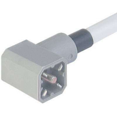 Hirschmann 931 783-001-1 G 30 KW M Cable Connector With Moulded Lead Grey Pins:3 + PE