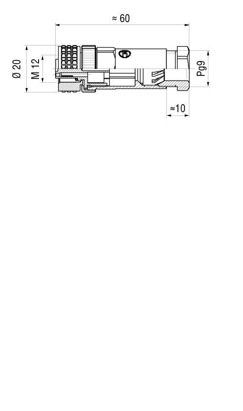Technical drawing of a cylindrical component with dimensions: length ≈60mm, diameter 20mm, M12 thread, P9 fit.