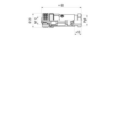 Technical drawing of a cylindrical component with dimensions: length ≈60mm, diameter 20mm, M12 thread, P9 fit.
