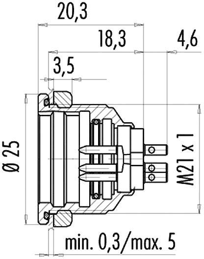 Technical drawing of a cylindrical component with dimensions: diameter 25 mm, length 20.3 mm, M21 x 1 thread, minimum depth 0.3 mm.