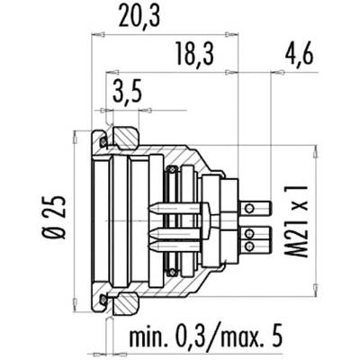 Technical drawing of a cylindrical component with dimensions: diameter 25 mm, length 20.3 mm, M21 x 1 thread, minimum depth 0.3 mm.