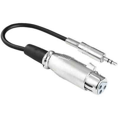 Hama 41908 XLR adapter XLR socket - Jack plug 3.5 mm Stereo  1 pc(s) 