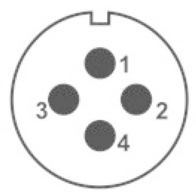 Diagram shows a circular plug with four numbered pins arranged symmetrically.