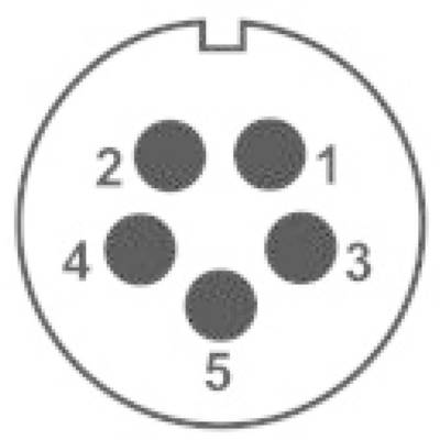 A round mini-DIN plug with five pins, numbered from 1 to 5, arranged in a circle.