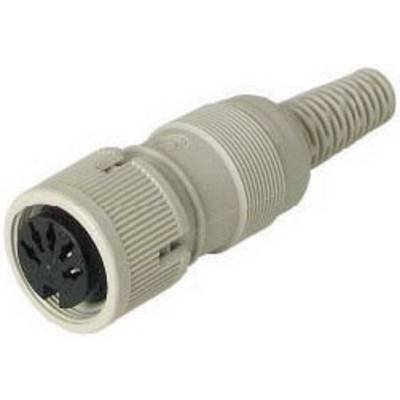 Hirschmann 930 764-517-1 DIN connector Socket, straight Number of pins: 3  Grey 1 pc(s) 