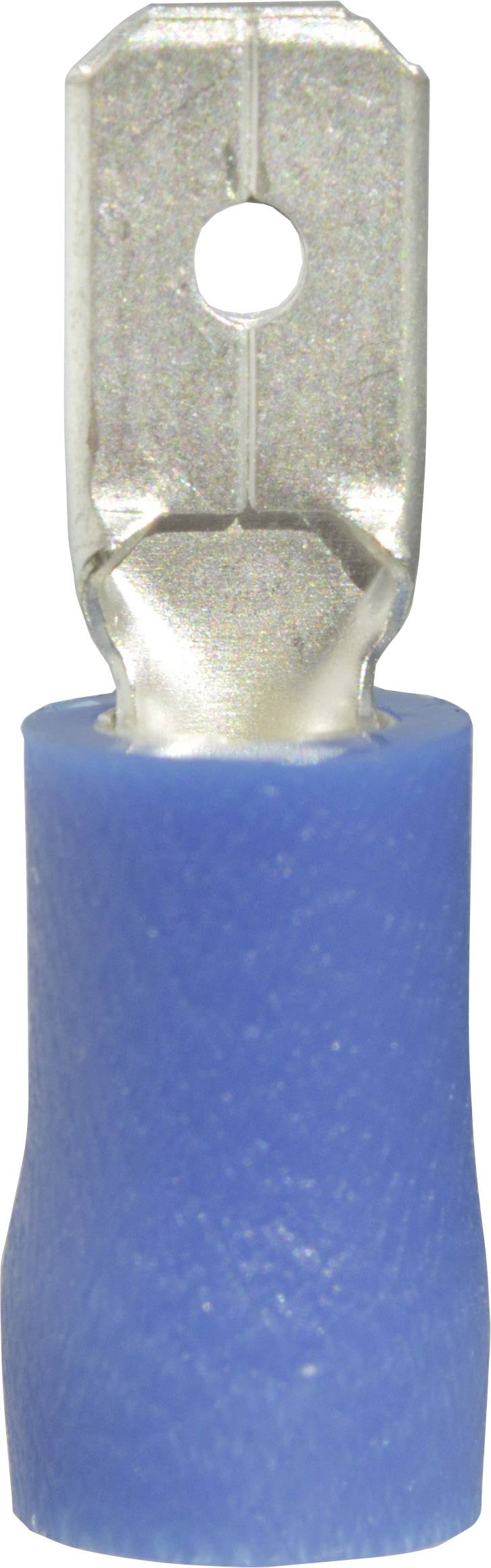 A blue, isolated cable shoe terminal with a metal connection.
