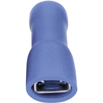 A blue isolated cable plug, cylindrically shaped, shows the metallic connection opening. Used for connecting cables.