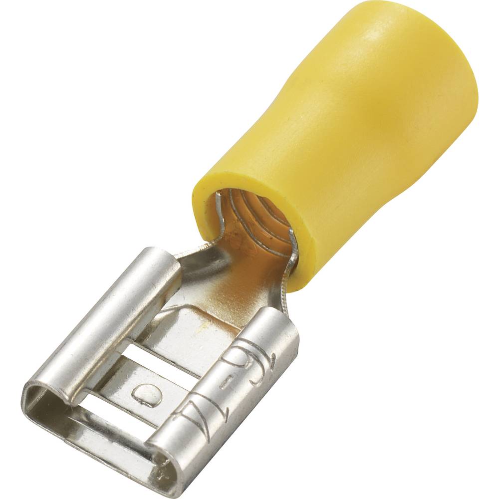 Blade receptacle Connector width: 8.0 mm Connector thickness: 0.8 mm ...