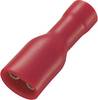 TRU COMPONENTS 1565179 Blade receptacle Connector width: 4.8 mm Connector thickness: 0.8 mm 180 ° Insulated Red 50 pc(s)