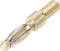 A golden dental drill attachment with a narrow, expanding head and thread for fixing to a handpiece.