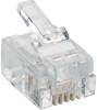 Lumberg P 127 Modular Plug 6p4c RJ11 Plug, straight Transparent