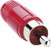Lumberg STO 1-RD RCA connector Plug, straight Number of pins: 2 Red 1 pc(s)