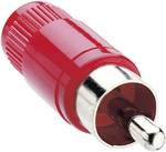 Lumberg STO 1-RD RCA connector Plug, straight Number of pins (num): 2 Red 1 pc(s)