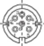 Binder 99-2021-00-06 Miniature Round Plug Connector Nominal current (details): 5 A Pins: 6 DIN