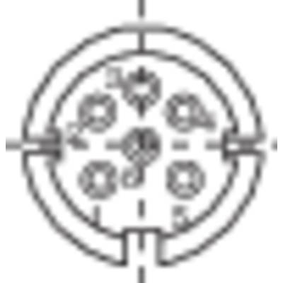 Wiring diagram of a five-pin plug viewed from above, with numbered contacts for electrical connection.