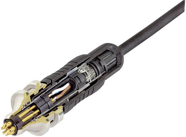 Cross-section of a multi-pole connector with visible electrical contacts and cable shielding.