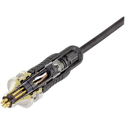 Cross-section of a multi-pole connector with visible electrical contacts and cable shielding.