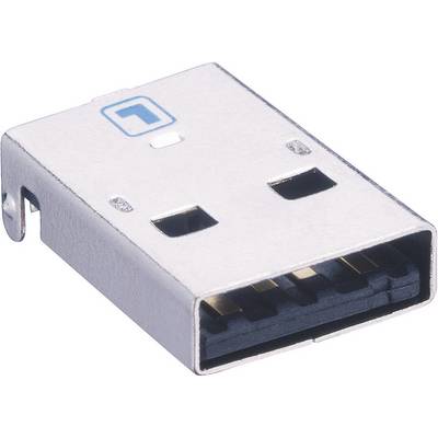 Close-up of a USB plug, Type A, with the typical rectangular metal casing and visible golden connector contacts.