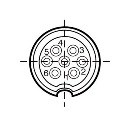 Plug diagram with six numbered connection points (1-6) and a central earth, arranged in a circular configuration.