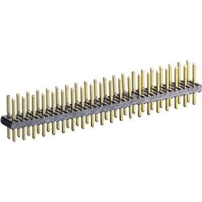 A two-row pin header with gold-plated pins and a black plastic strip, a typical connector component for electronic devices.