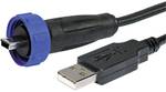 Bulgin PX0441/2M00 USB Plug Connector Adapter 2.0 - IP68 Plug, straight USB A/Mini USB B