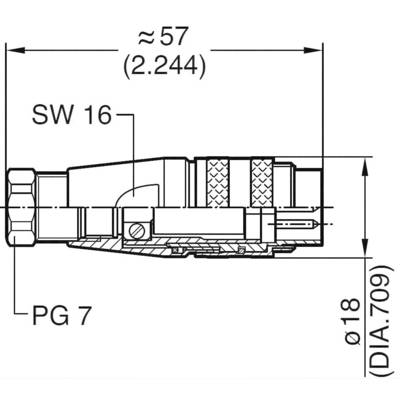 Technical drawing of a plug, showing dimensions: length approx. 57 mm, diameter approx. 18 mm, SW 16, PG 7. Cross-sectional view.