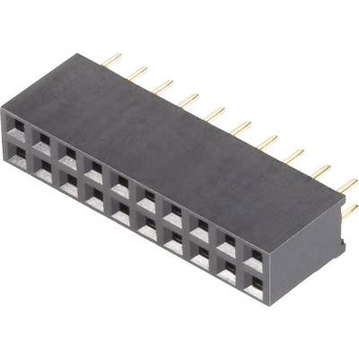 A black electrical connector with multiple rows of square socket terminals and gold-plated pins.