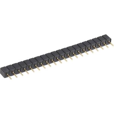 A 20-pin straight pin header connector with a black plastic housing and gold-plated pins.