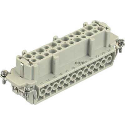 'Grey, rectangular electrical connector with 24 numbered connection apertures and side mounting screws.'