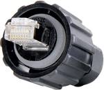 Conec 17-100474 RJ45 Plug, mount