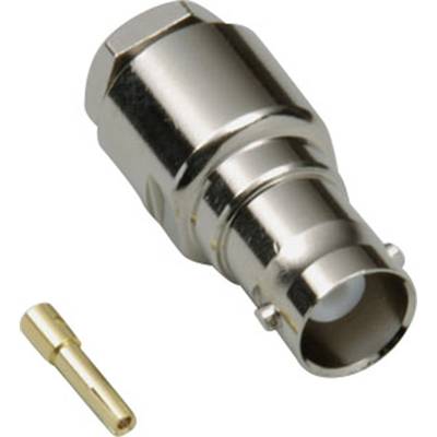 BNC socket and gold-plated contact pin, lying side by side. The plug has a metallic surface.