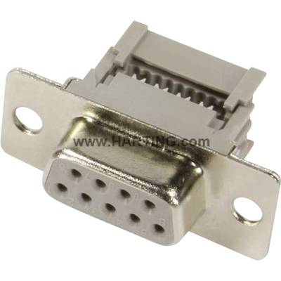 A grey, rectangular D-Sub plug with nine metal contacts and two mounting holes on both sides.