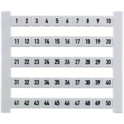 A numbered grid from 1 to 50, five rows, ten columns. Numbers in tiles, evenly distributed, sequentially arranged.