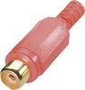 BKL Electronic 0105002/T RCA connector Socket, straight Number of pins: 2 Red 1 pc(s)