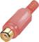Red RCA phono plug with gold-plated tip. Used for audio and video connections. Suitable for home cinema and audio equipment.